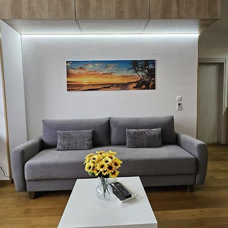 Porodicno-Poslovni Udoban Stan Apartment Belgrad Exterior foto
