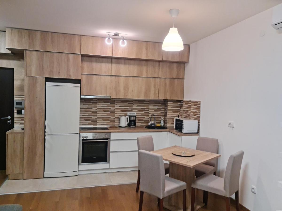Porodicno-Poslovni Udoban Stan Apartment Belgrad Exterior foto