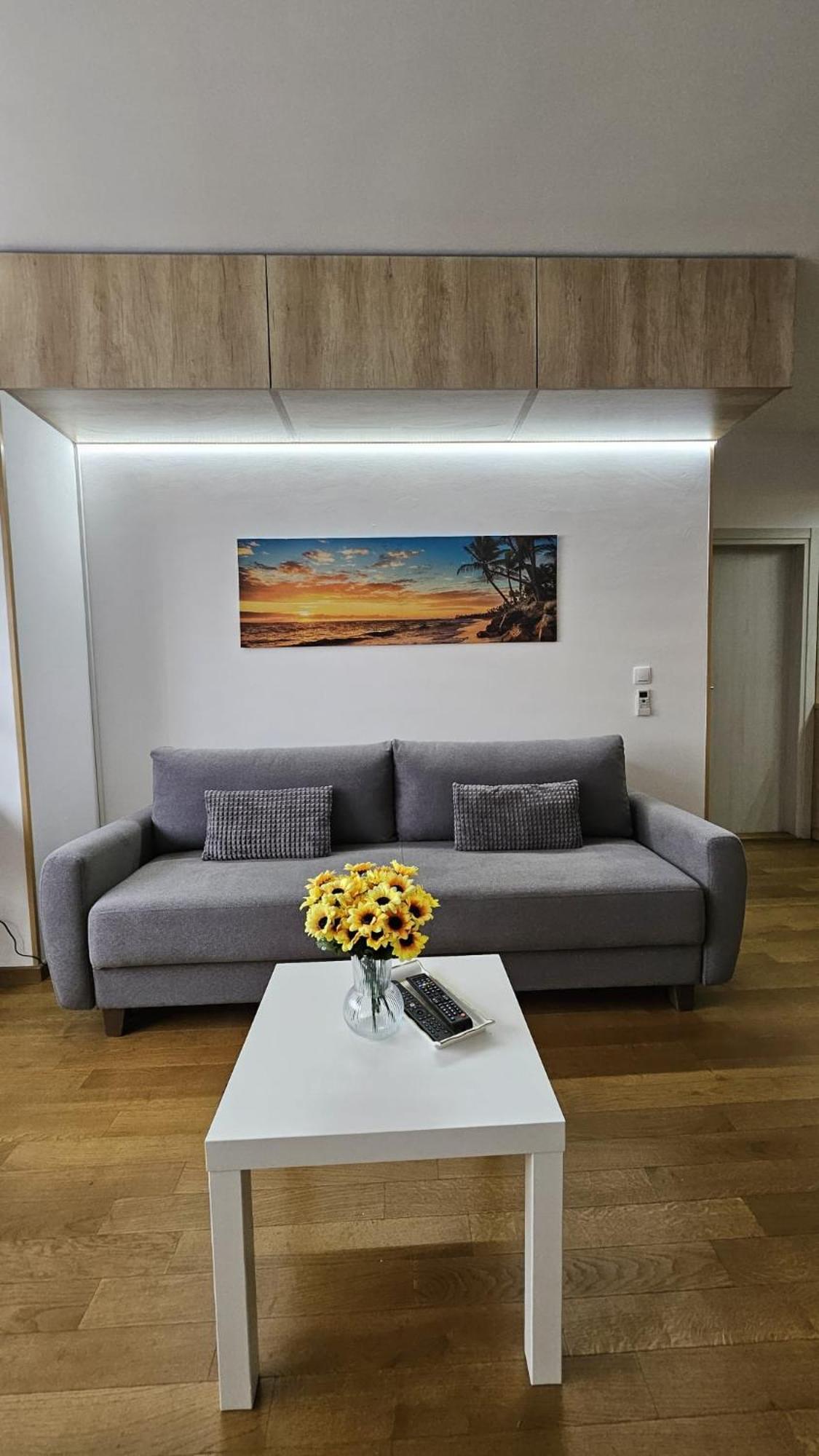 Porodicno-Poslovni Udoban Stan Apartment Belgrad Exterior foto