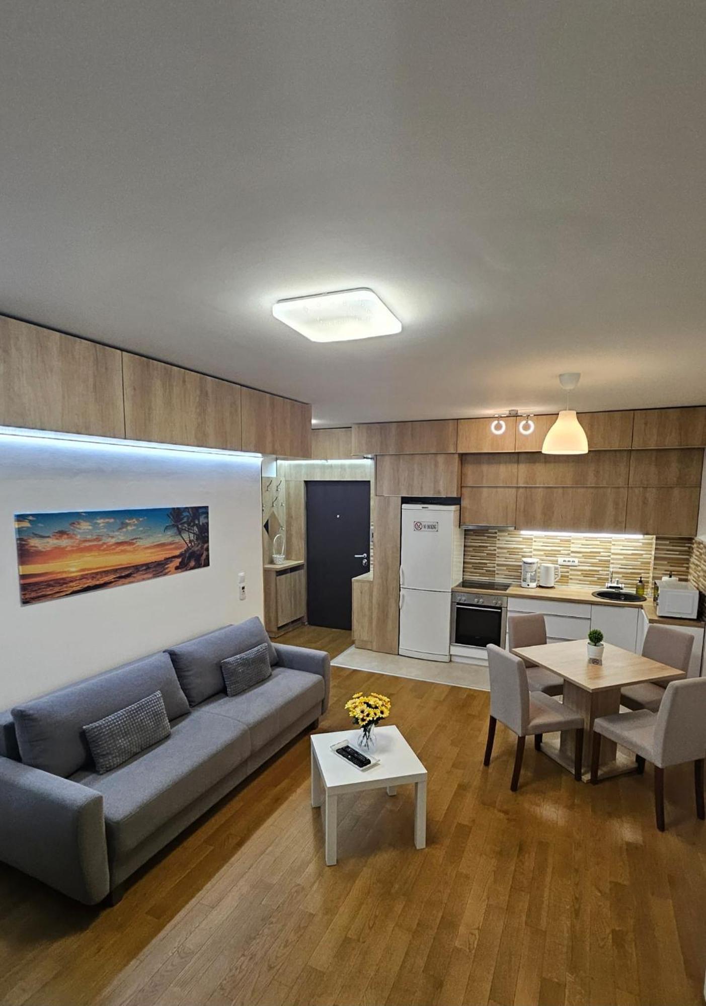 Porodicno-Poslovni Udoban Stan Apartment Belgrad Exterior foto